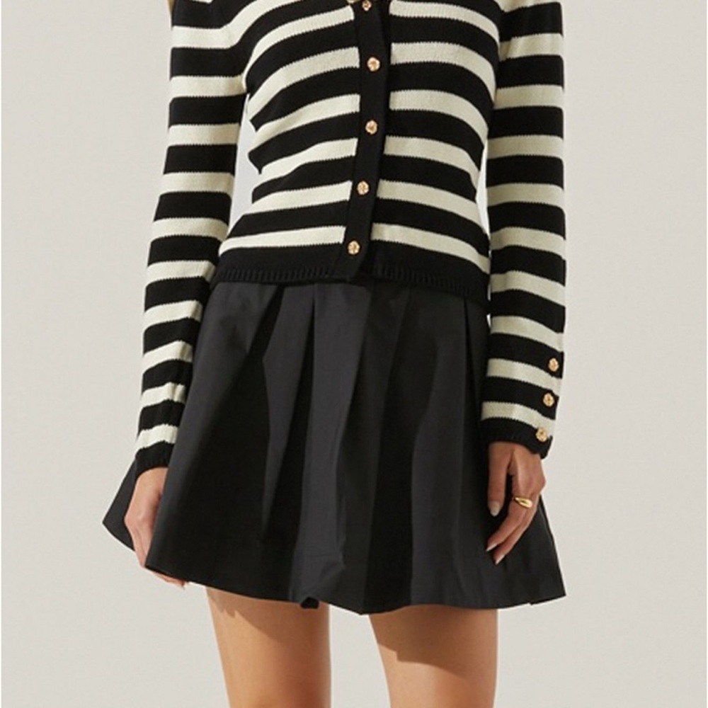 Astr Antheia Black Pleated Mini Skirt